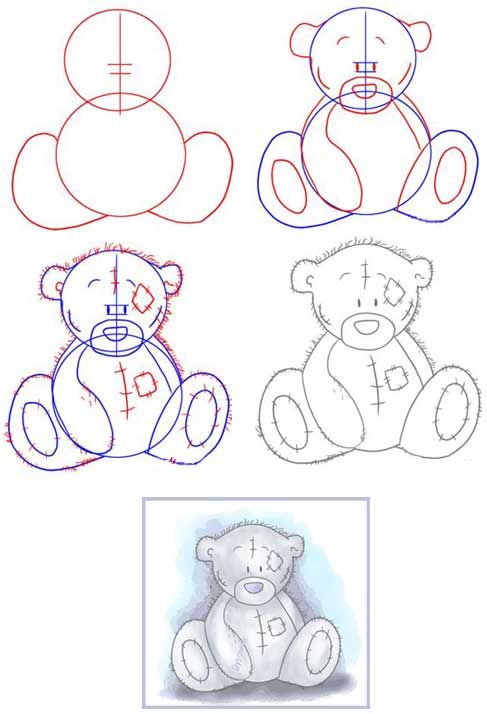 как нарисовать мишку тедди вам подскажет эта картинка, как рисовать мишку тедди metoyou