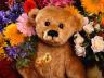 цветы и плюшевый медведь большая картинка