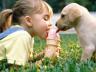 девочка и щенок кушают мороженое