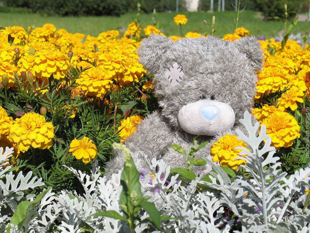 скачать следующие обои с мишками